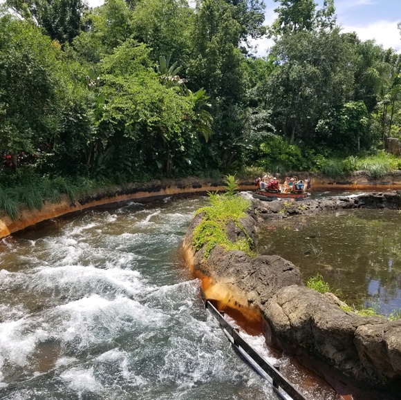 Meet your Posher, Pierre - Picture 1 of 1